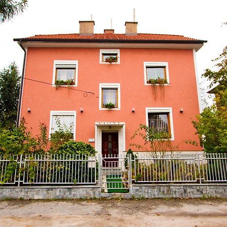 Guest House Pikapolonca Maribor Exteriör bild